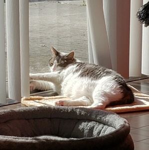 Meet your Posher, Joanne